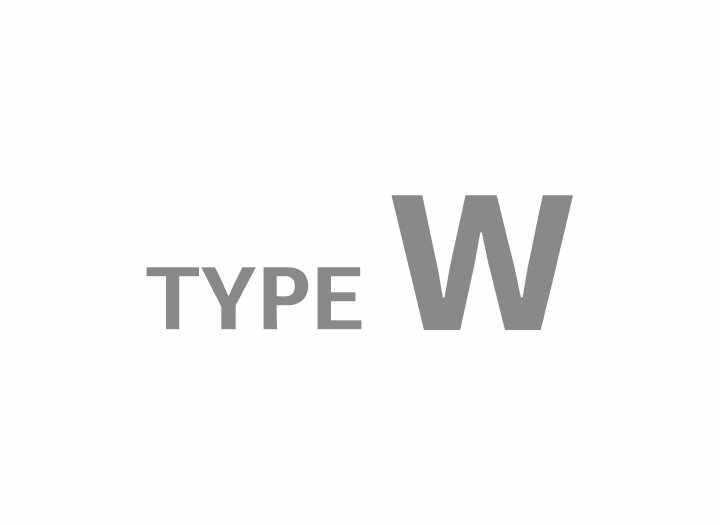 Brake caliper parts - Type W
